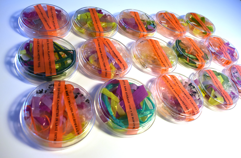 petri dishes filled with strips of plastic on a white table